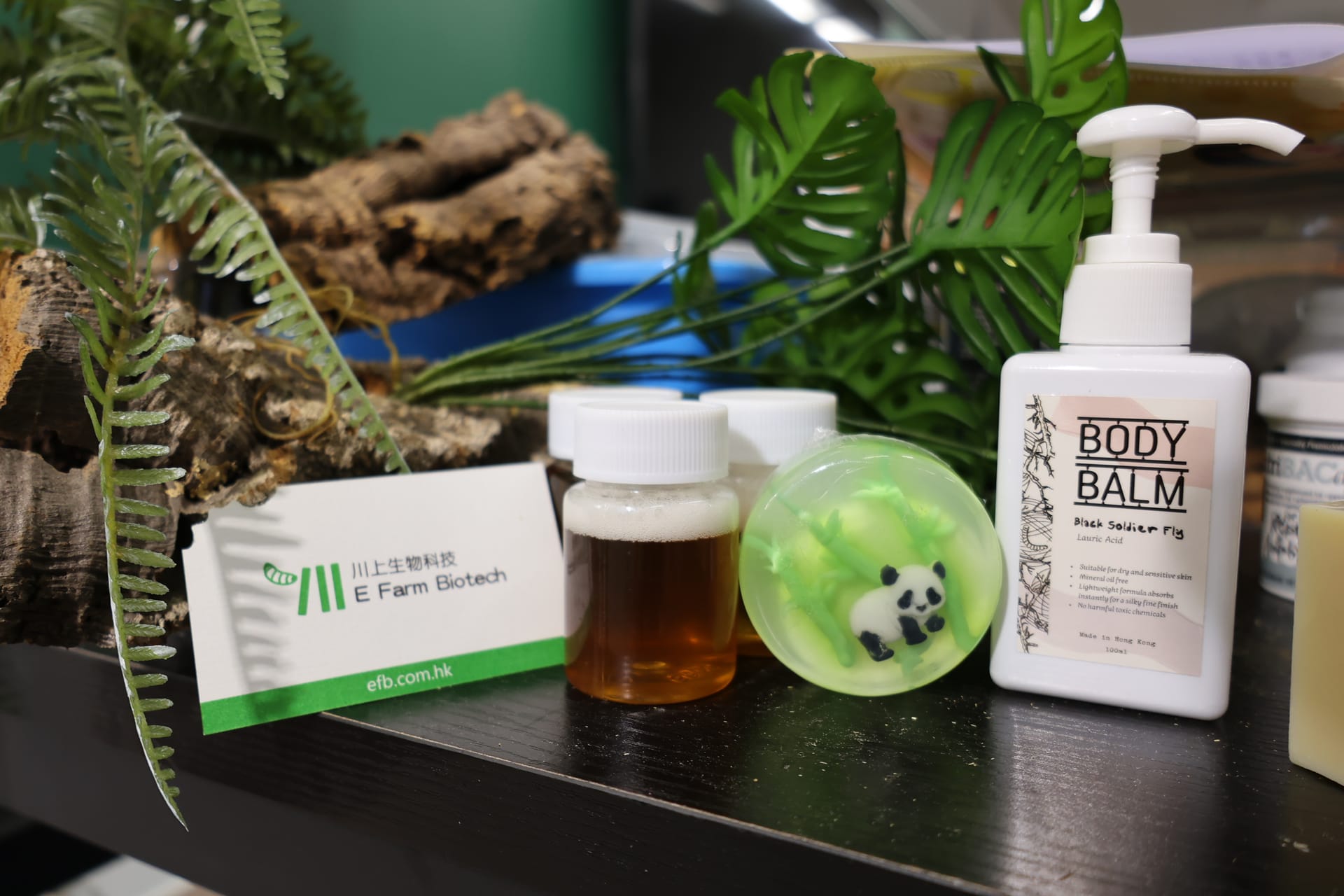 BSFL Handsoap Workshop
