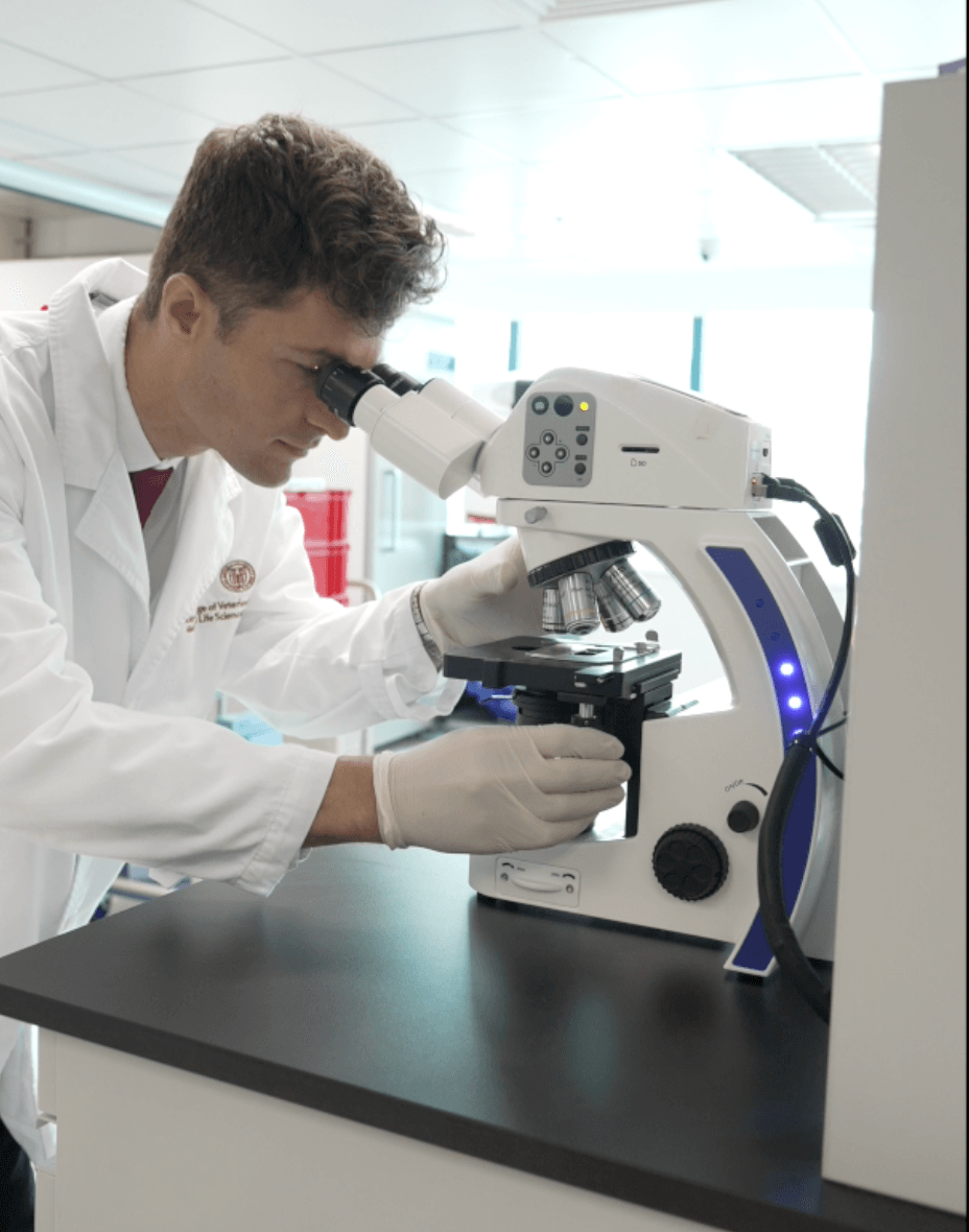 BSF Research