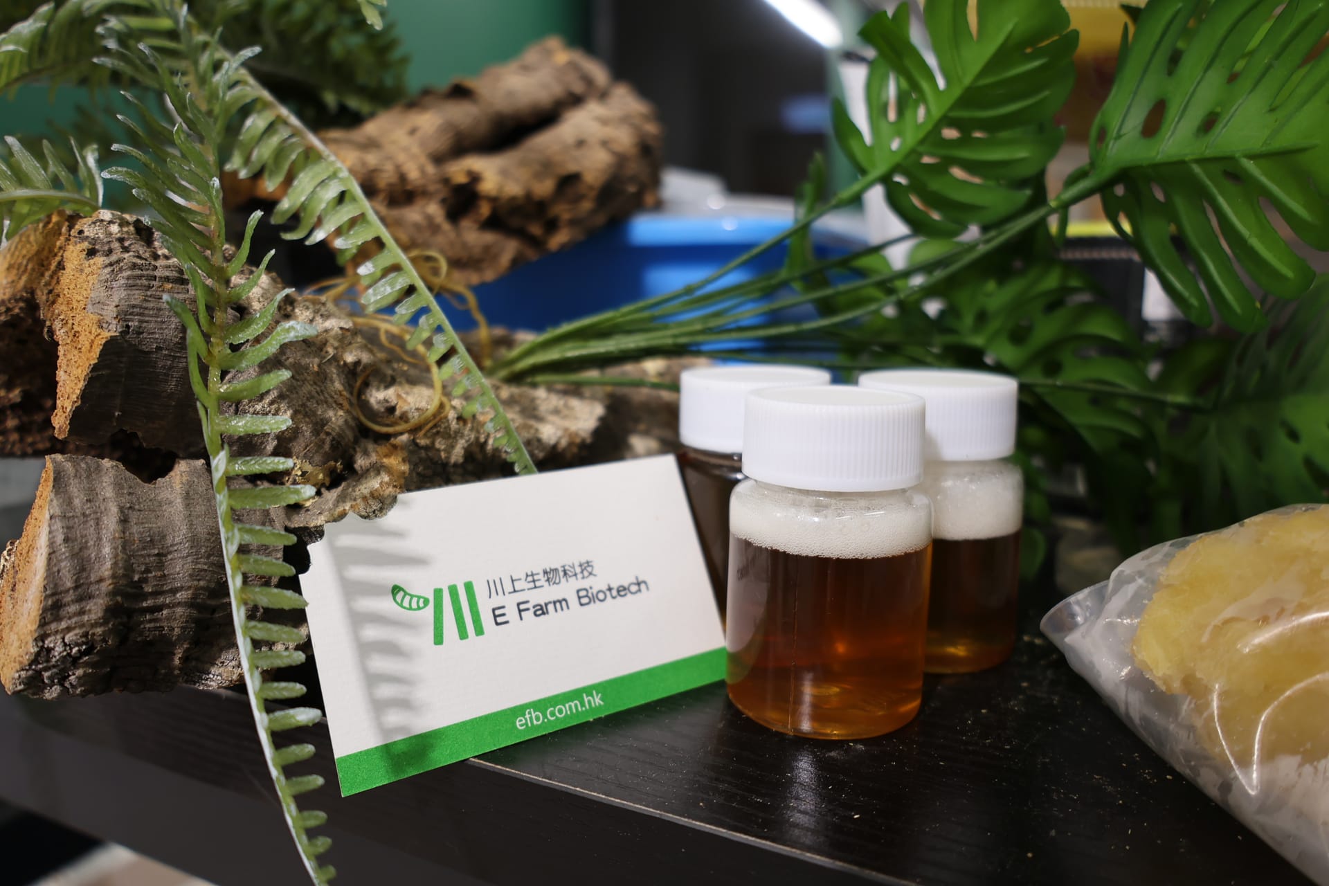 BSFL Handsoap Workshop